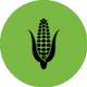 Corn Corn